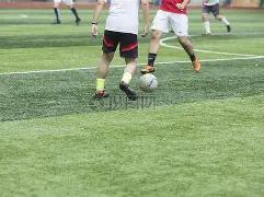 孙颖莎,新加坡大满,贯征程,万博manbetx体育平台,万博体育官网,万博体育app下载,ManBetX,SPORTS